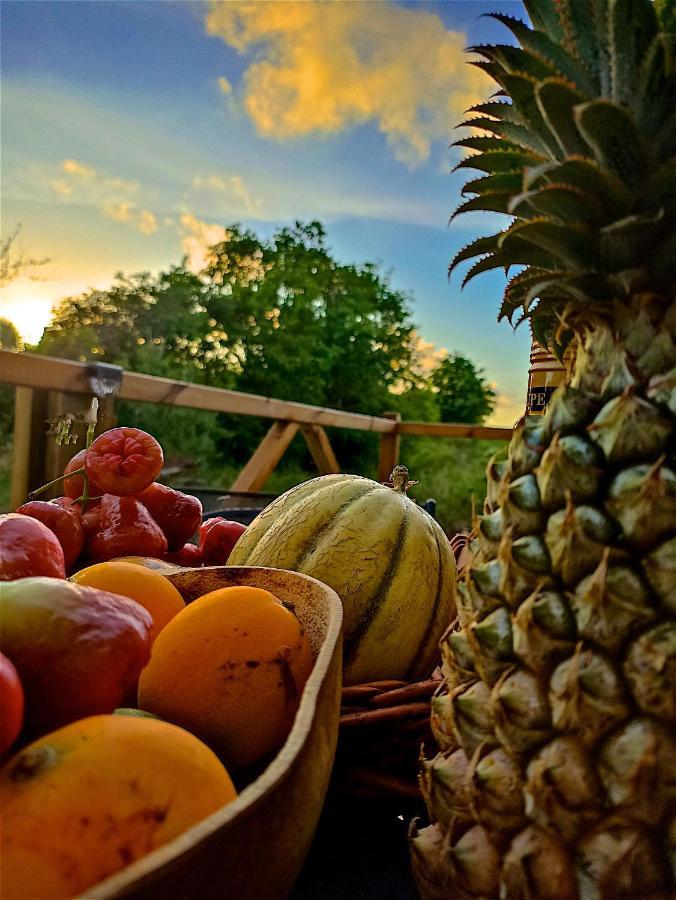 Hotel Evasion Guadeloupe à Saint-Francois  Extérieur photo
